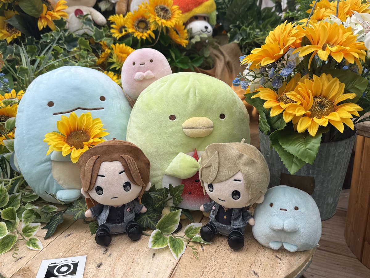 rino_inoino's tweet photo. 清香さんの下手ちゃんたち可愛すぎてめちゃくちゃ写真撮った📷✨️ https://t.co/xqkNoqhxtJ