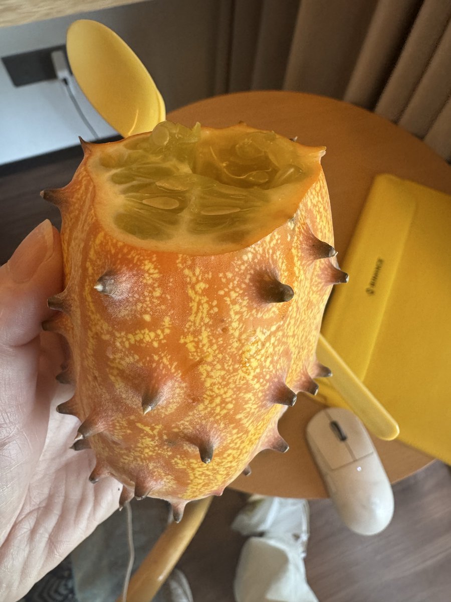 hualun's tweet photo. 来云南需避坑的水果之一

40块钱一斤，吃到了成熟的那种黄瓜瓤的味道，说实话还不如黄瓜好吃

一次失败的尝新活动☹️ https://t.co/KvQzgydJvR