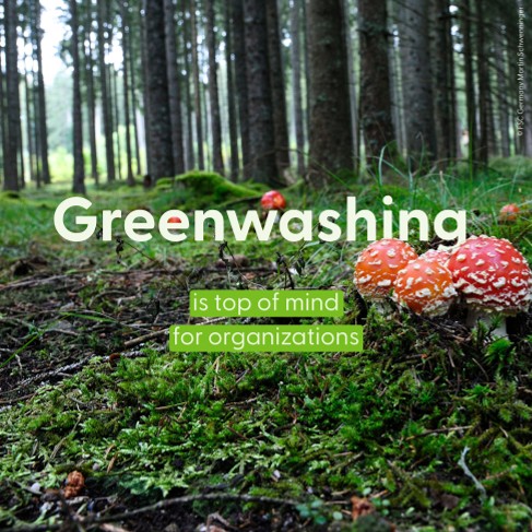 FSC_EA's tweet photo. Environmental claims are under growing scrutiny. With EmpCo taking effect in September, FSC has strengthened its system to ensure claims are verified, accurate and backed by evidence.
🌳Learn more: https://t.co/53ECPs79QO
#FSC #EmpCo #Greenwashing #ResponsibleForestry https://t.co/IZt66cfah1