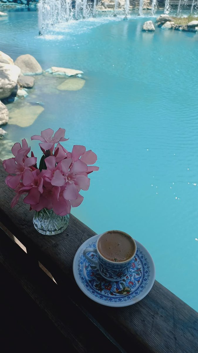 DandanNiveen's tweet photo. بونجووور 
☕☕☕☕ https://t.co/mpyvenS5rv