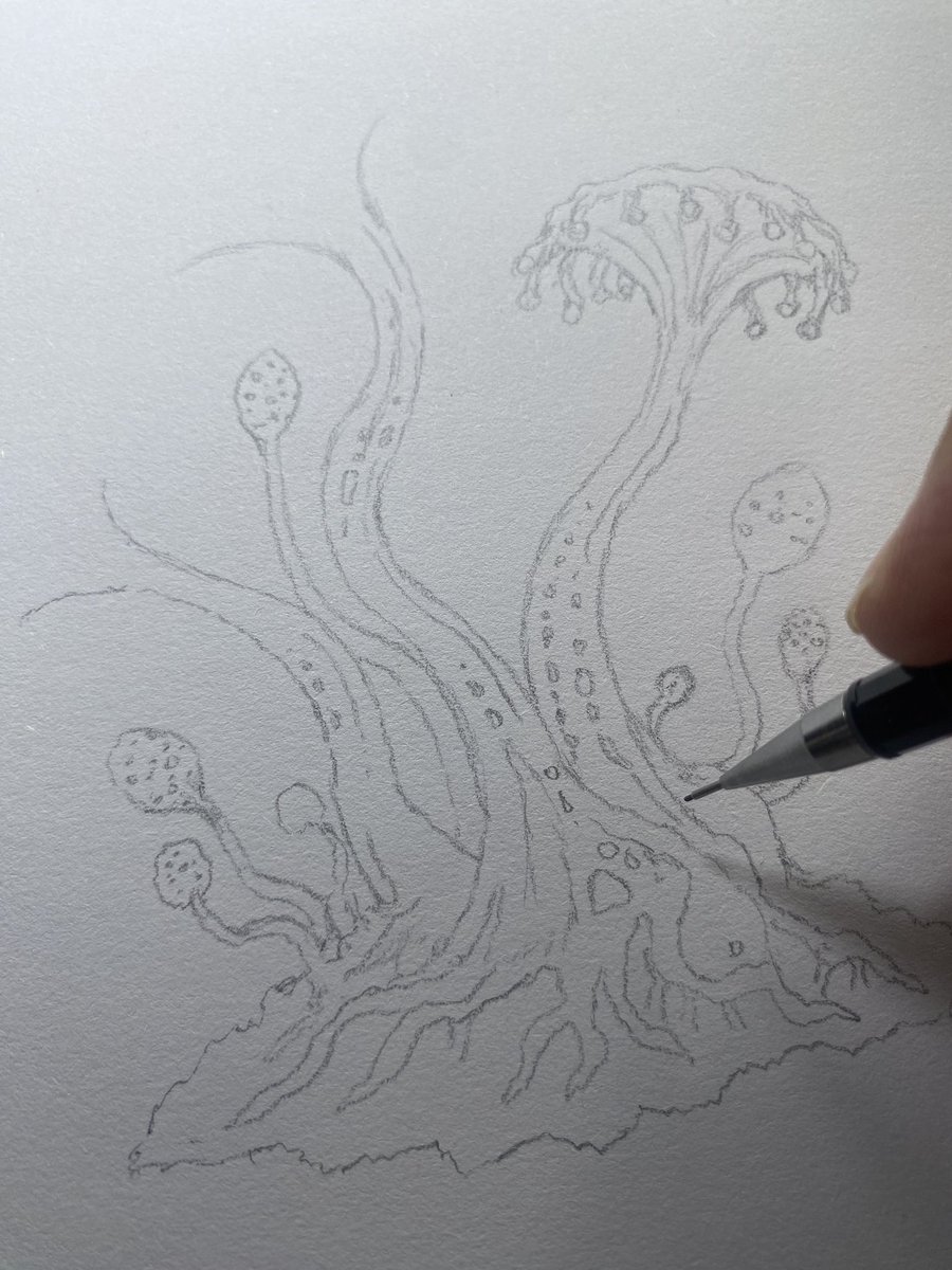 AbingtonJake's tweet photo. Working on some alien sea plants https://t.co/BuhxWH5kQ6