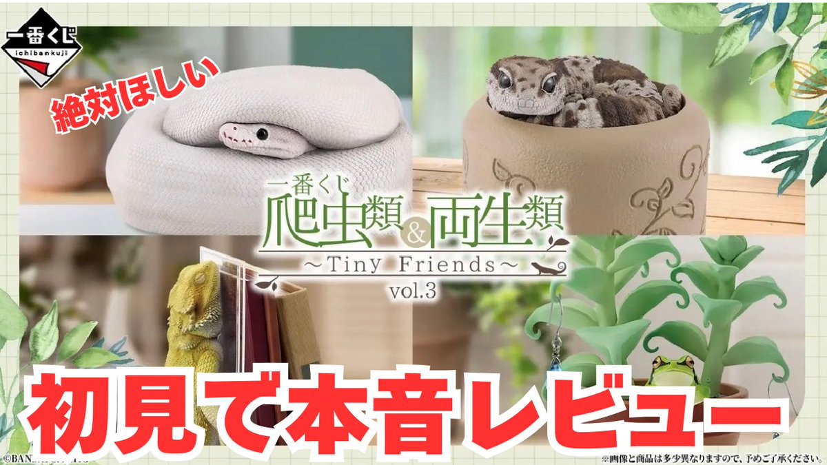 nushisu's tweet photo. YouTubeロング動画を初アップしました🎊

まさかの一番くじレビュー動画www
みなさんくじ引きますか？どれ狙いですか？
ぜひぜひ教えてくださいー🫶

https://t.co/eZdaiILS1g https://t.co/kqG7DvLM2b