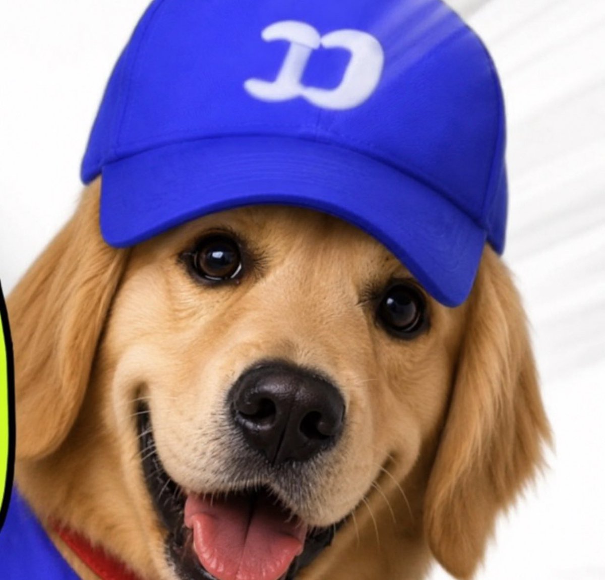 her_xbt's tweet photo. @fomo @RobinhoodApp_EU Since fomocat is trending so I launched a fomodog 

bottom 

7f9RtXUM3bzUNhjhQ41HZmhVbPvmv2Kv2NeJVQLipump https://t.co/gNFxA4YAqT
