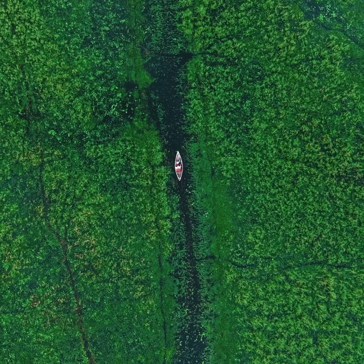 IndiaAesthetica's tweet photo. Kanwar lake in Begusarai, Bihar 🟢🪷🔵🇮🇳 https://t.co/56wsPI36f3