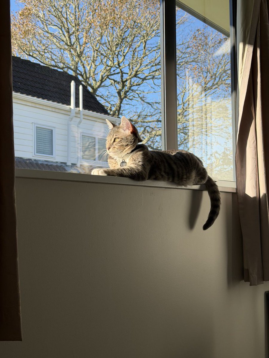 nicolehot02's tweet photo. neighborhood watch https://t.co/3Tu7NpoH6D