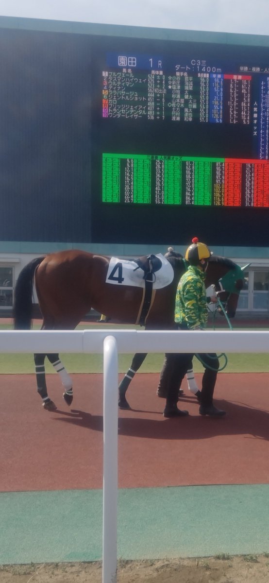 zbatlocal's tweet photo. ディナンが亡くなりました。

3月17日園田1Rで田中一巧厩舎からデビュー。園田で3連勝してJRAへ移籍して6月20日函館競馬「3歳1勝クラス」も逃げ切り。園田デビューの〝遅れてきた大物〟として、さらなる活躍が期待されていた時に入ってきた訃報。

デビュー前の能検が噂通り異次元の動きで、先生を中心に「どれだけ後続を離すか」で盛り上がり。田中一巧先生からディナンとジグラートを元に〝馬作り〟の考えを聞かせて貰えたし、思い入れが強いお馬さんでした。

デビューから3か月で4戦4勝。芝で走る姿も見たかったですが叶わず。

どうか安らかに

#阪神アーバン競馬
#ディナン
