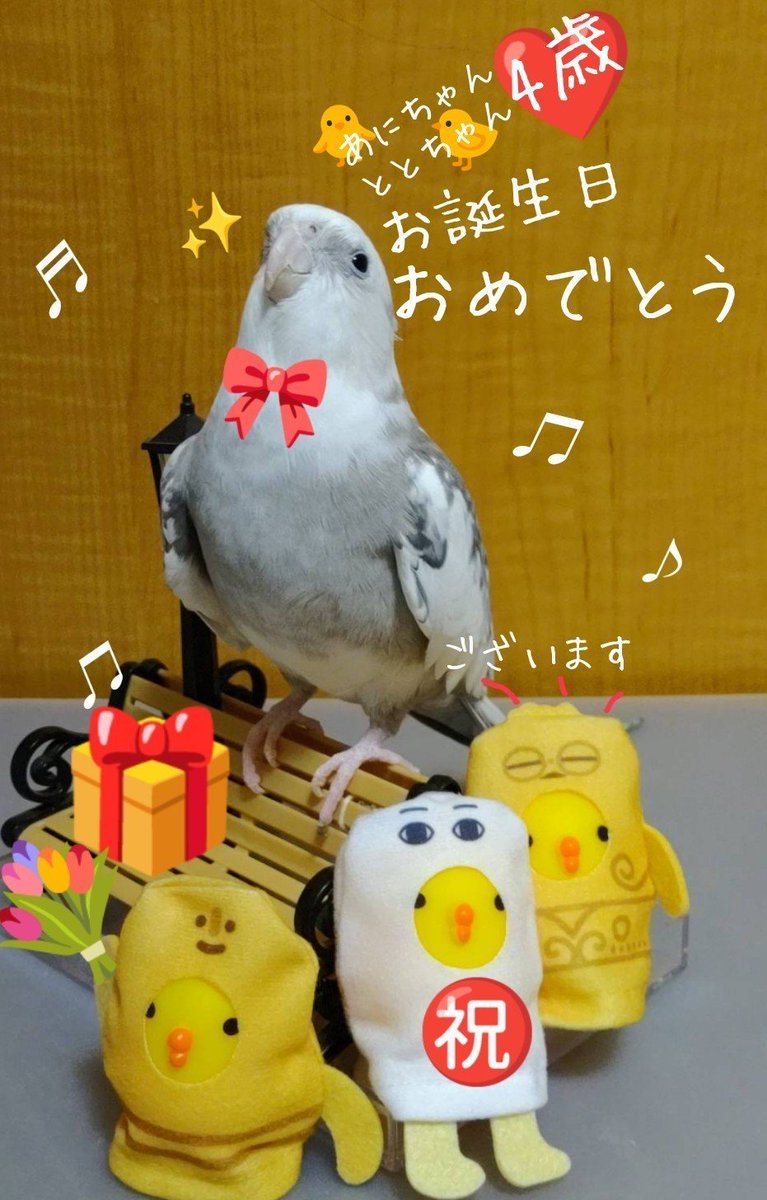 ku_chibi_rin's tweet photo. @anitoto02 (遅れてしまいましたが💦)
🐥あにちゃん&amp;🐥ととちゃん㊗️4歳💐
🎊お誕生日おめでとうございます🎂✨👏👏👏
健やかで楽しい1年になりますように💖 https://t.co/0p1g7WAI2n