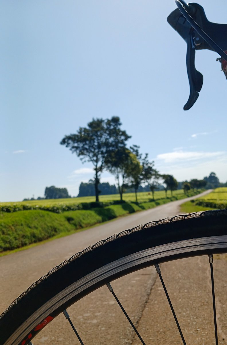 KerichoCycling's tweet photo. Good morning and happy Friday!🚴‍♂️🚴‍♀️

Kindly, don't forget to wear your safety gears. Have a fantastic Friday and remember to ride responsibly.
#KerichoCyclingClub https://t.co/YW6F4ocBJE