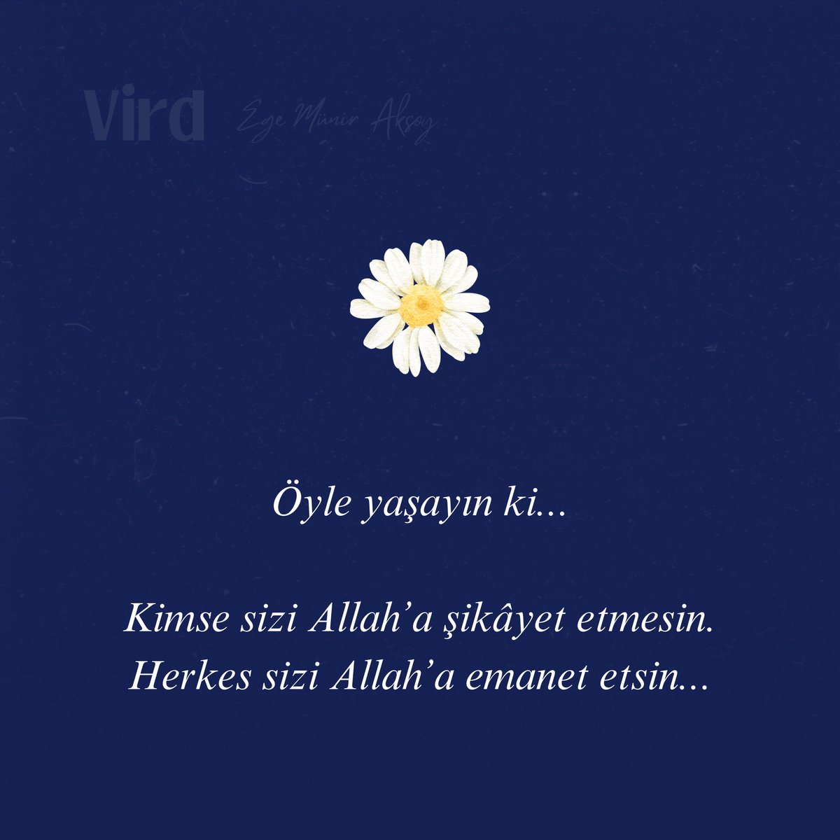 virdnametr's tweet photo. https://t.co/9twhf74ddz