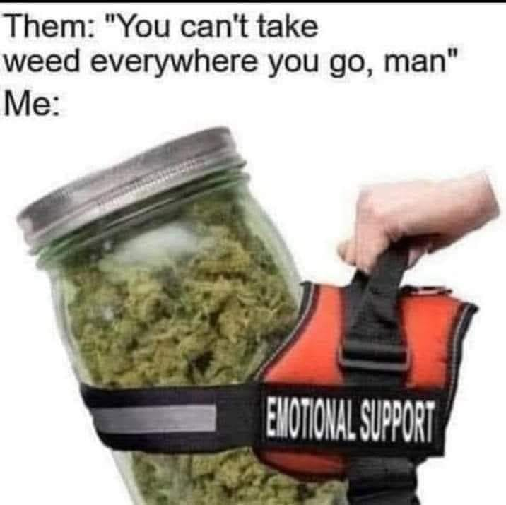 SJsMemes420's tweet photo. https://t.co/8rers4OvEe