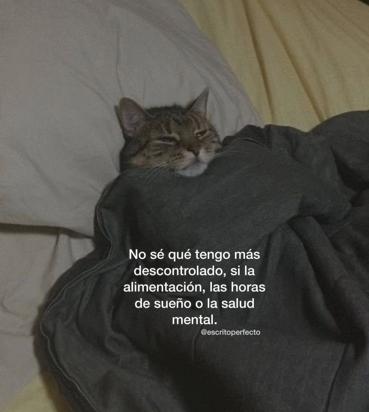 CandelaPura666's tweet photo. https://t.co/DSfYeR4rIV