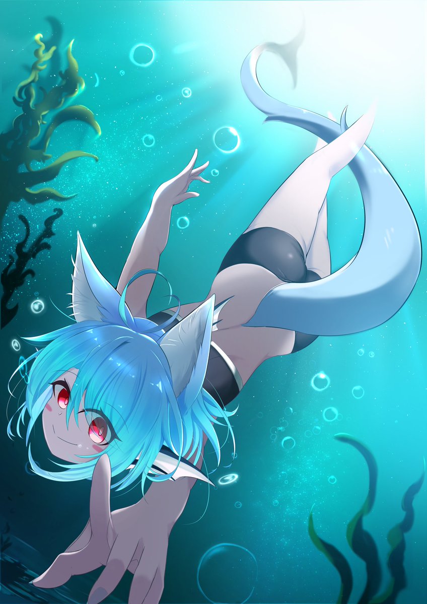 yona_rabbit's tweet photo. 鮫と猫の2ﾑｧｲ

#今月描いた絵を晒そう https://t.co/2V3GzBHM3I