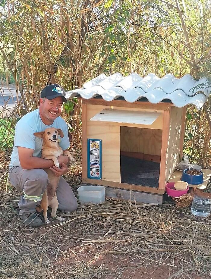 AMAZlNGNATURE's tweet photo. This truck driver has built over 1700 homes for stray animals

Brazilian truck driver Leomar Aparecido Miguel uses his days off to build and donate wooden shelters, giving stray dogs and cats a safe place to sleep https://t.co/cEpsAZgmi5