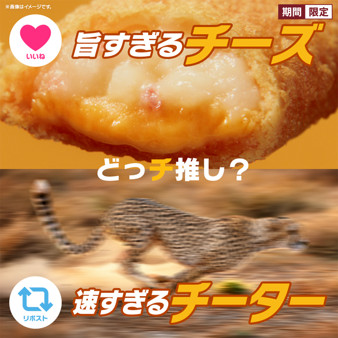 McDonaldsJapan's tweet photo. どっチ推し？ https://t.co/sqeH0wNXWa