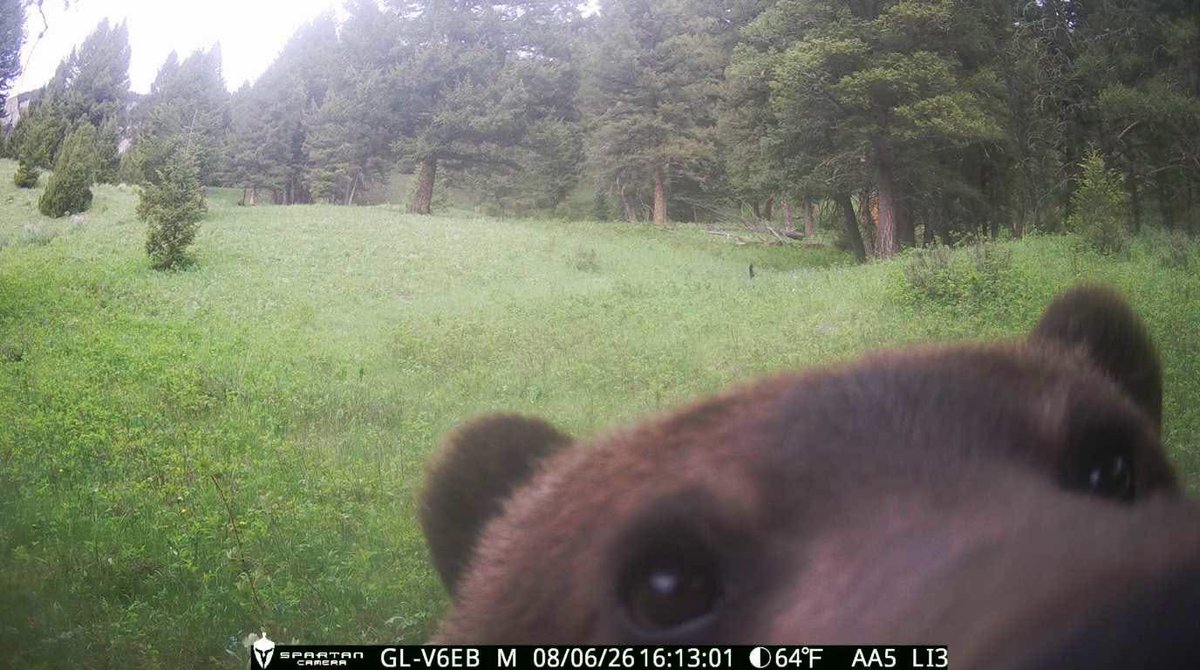 Foxstash tweet picture