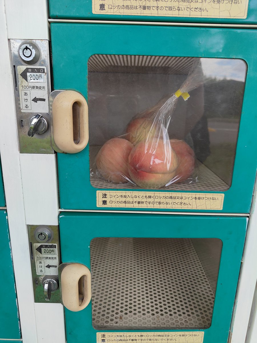 _ya_800's tweet photo. ちなみに、別の果樹園自販機で小玉ですが4個¥200もありました😯 https://t.co/gHcoQAKg78