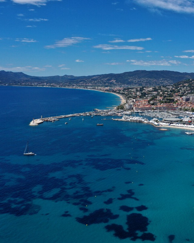ProCotedazur's tweet photo. 🏆 Cannes est en finale des #WorldTravelAwards 2026 pour défendre son titre de meilleure destination européenne pour l’organisation et l’accueil de festivals et d’événements !  

👉 Votez pour Cannes et partagez : https://t.co/gwvveNYfA0 

📅 Clôture des votes : 28 août !  On compte sur vous !  
#Cannes #CotedAzurFrance #Tourisme @Cannes_France @villecannes