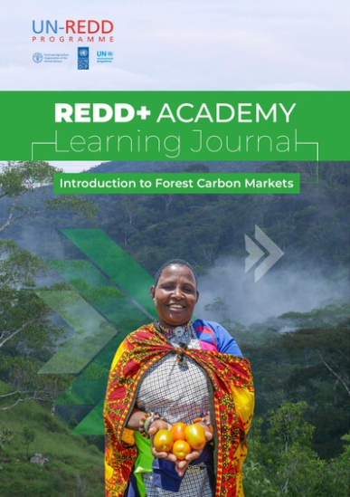 UN-REDD Programme tweet media