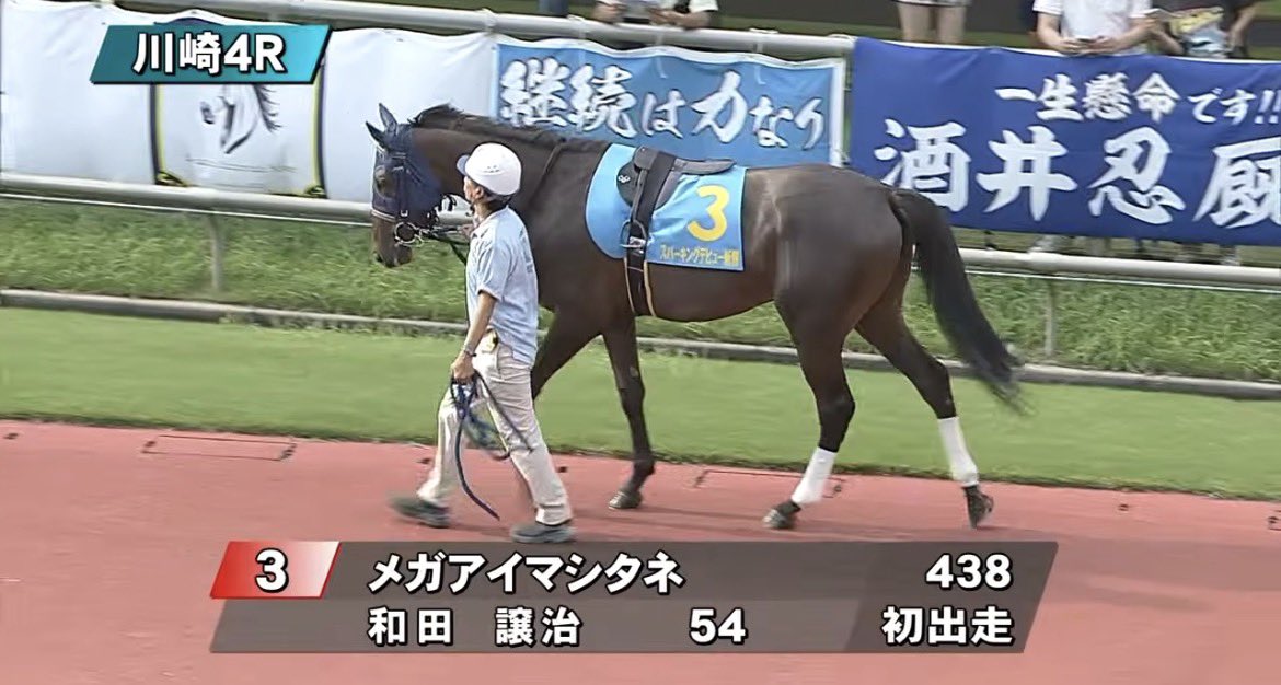 wp3qhjwap's tweet photo. #川崎競馬

馬体重より愛が重そうな
新馬がデビューしている川崎競馬場 https://t.co/Xr3jAtN9Ji
