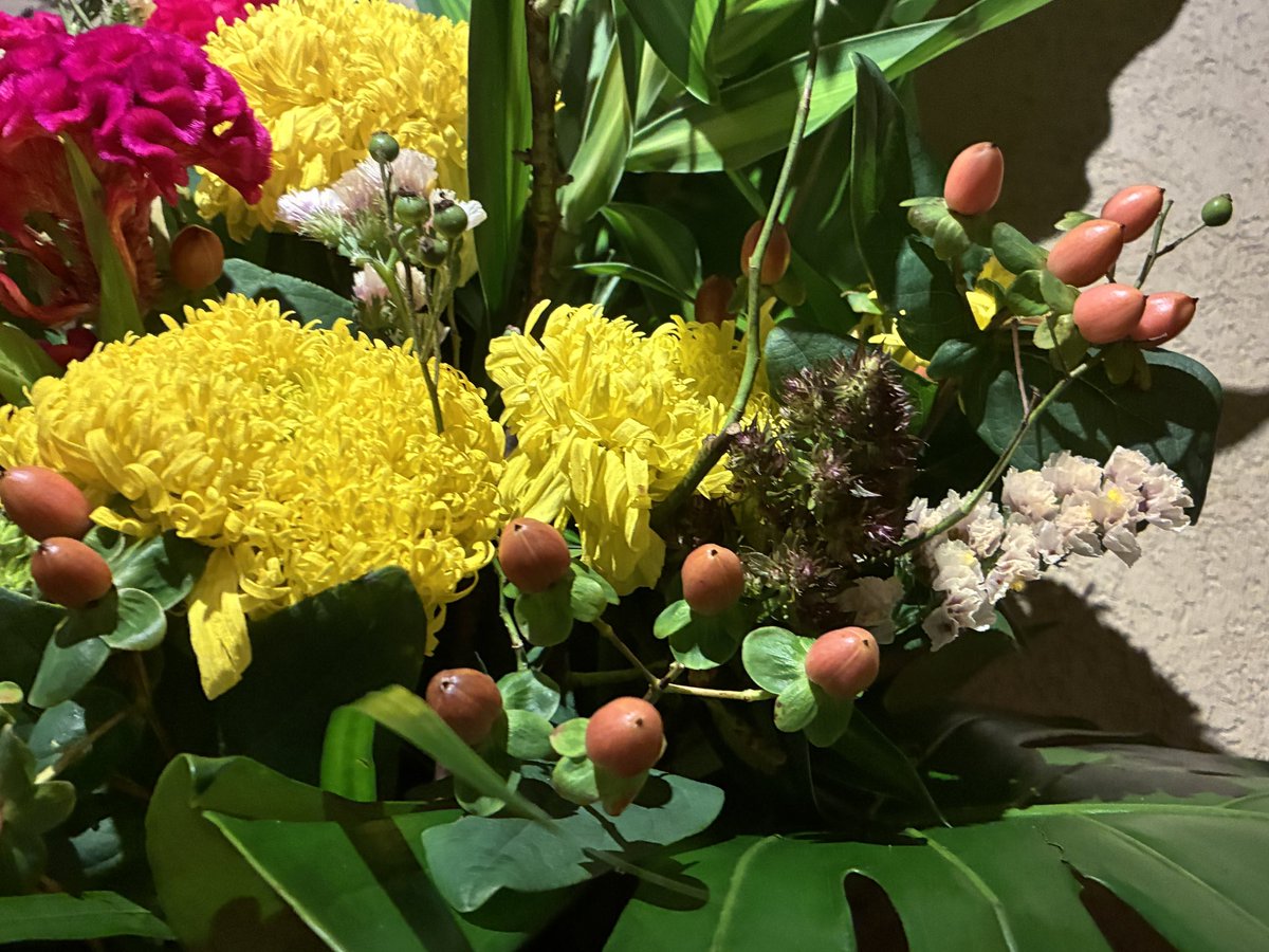 kibako9's tweet photo. 今週のお花は

マリーゴールド、ヒペリカム、クロッカス、スターチス、野バラ、タニワタリ、モンステラ、ドラセナ

です！
　　　　by西尾花店さん

尚、本日31日(金)と
　　明日1日(土)は
　　明。誕生日day
よろしくお願いいたします❗️ https://t.co/WQFdUamelu