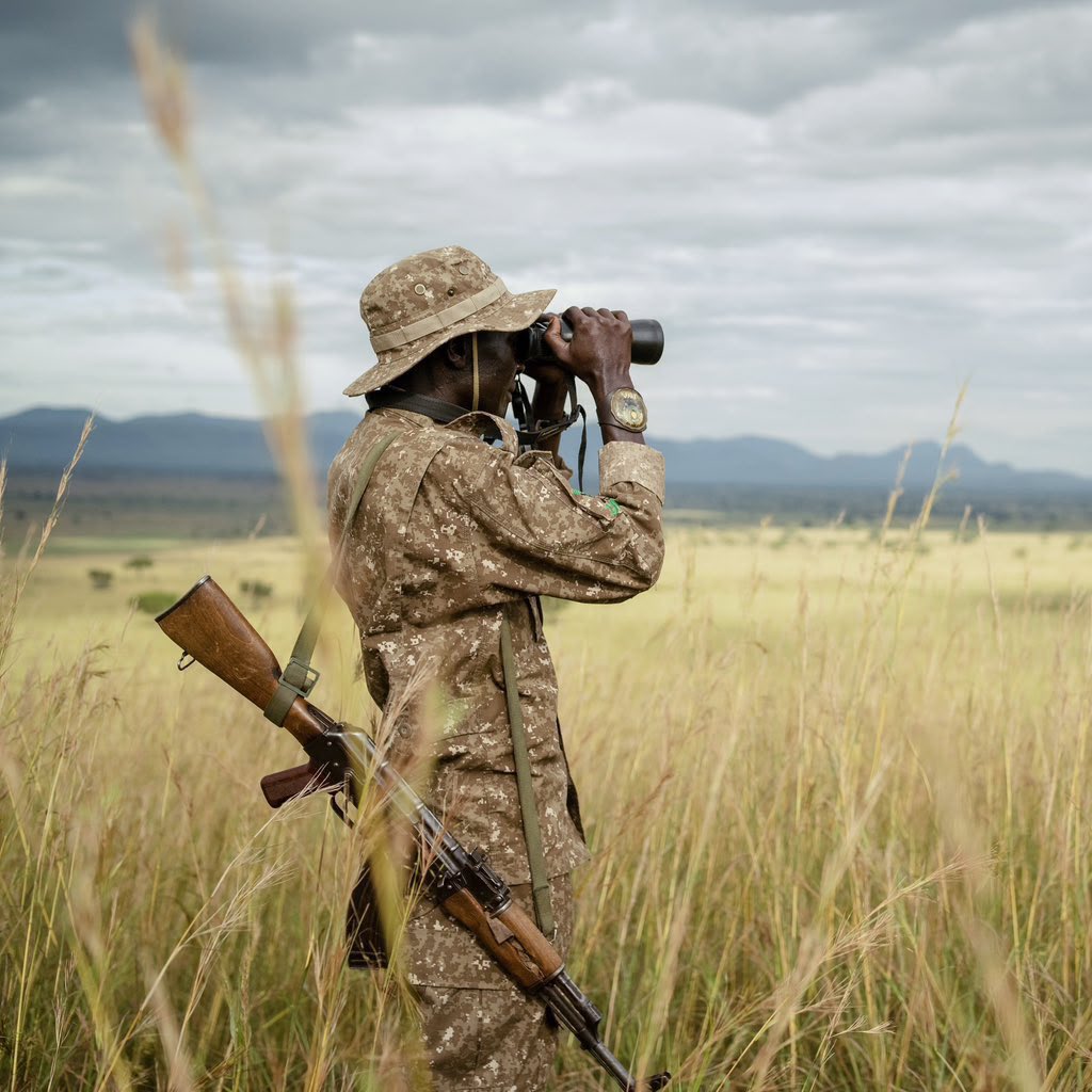 ManofTourism's tweet photo. 🚨Today, we celebrate the heroes in green. 🌿

To every ranger protecting Uganda’s wildlife and natural heritage, thank you for your courage, sacrifice, and unwavering commitment.

Happy World Ranger Day💚 https://t.co/1JJz9ehctT