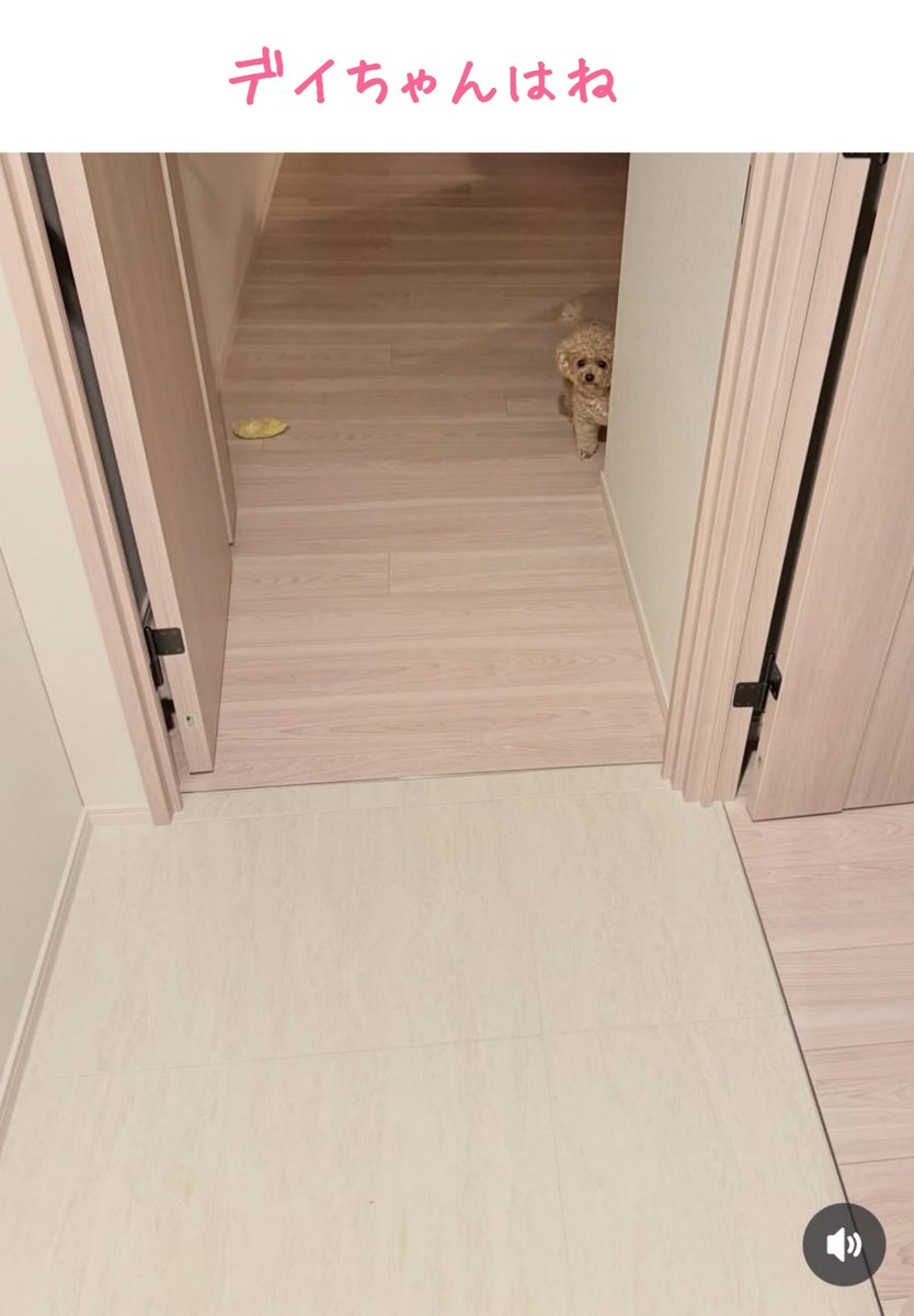 bayhall0924's tweet photo. 『ためらい』

🐾ﾌｨｸｼｮﾝです🐾

そんな気がするw https://t.co/Wef7qQYYXC
