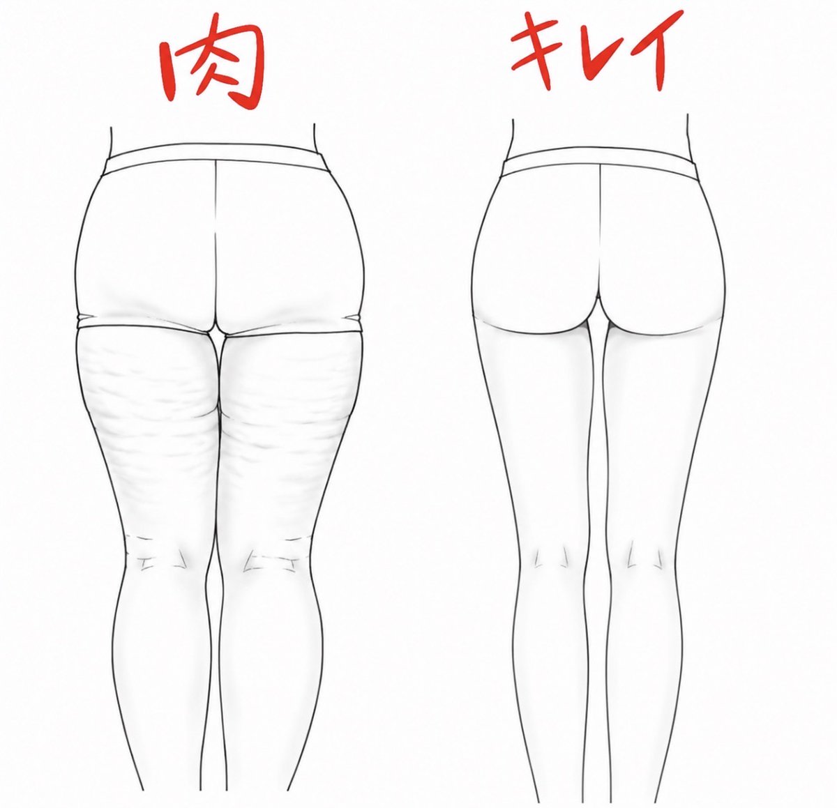 sakura_25mochi's tweet photo. 本気でケツデカ&amp;大根足ちっさくしたい人だけ見て！
骨ウェは下半身になんでもかんでも溜め込んじゃうからとにかく

ケツ筋を攻めろ！
ケツ筋を攻めろ！
ケツ筋を攻めろ！

←これから→これにするには https://t.co/QYbOiceHba