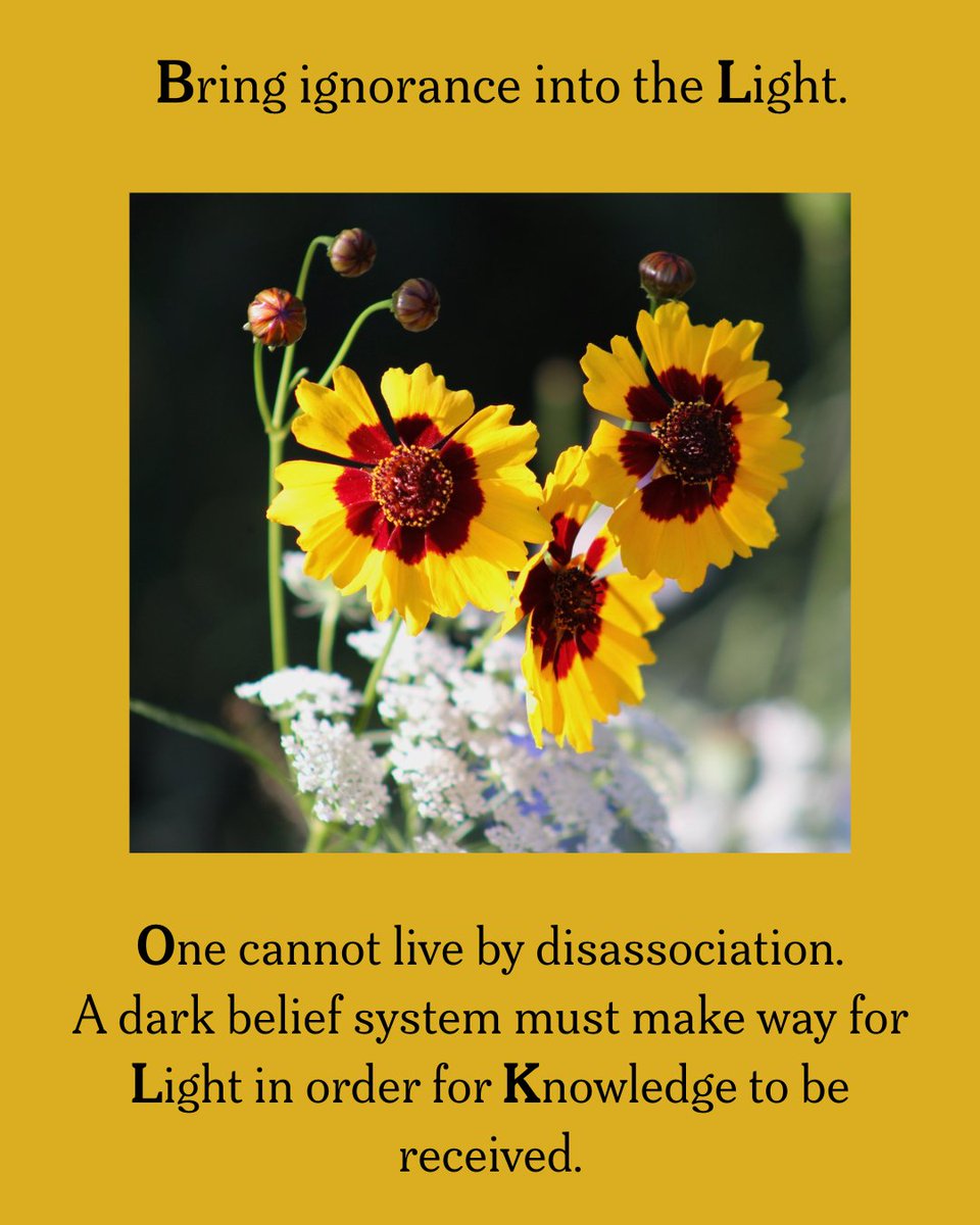 WholeExpression's tweet photo. As a person lives through the personal sense of self which says, "I must solve this issue", so will the suffering continue. I do not follow this thought system for the 'I' that 'I am' does not endorse darkness and confusion. The peace that is Known is unmistakable. 

#Light https://t.co/qEQnhD2xdI