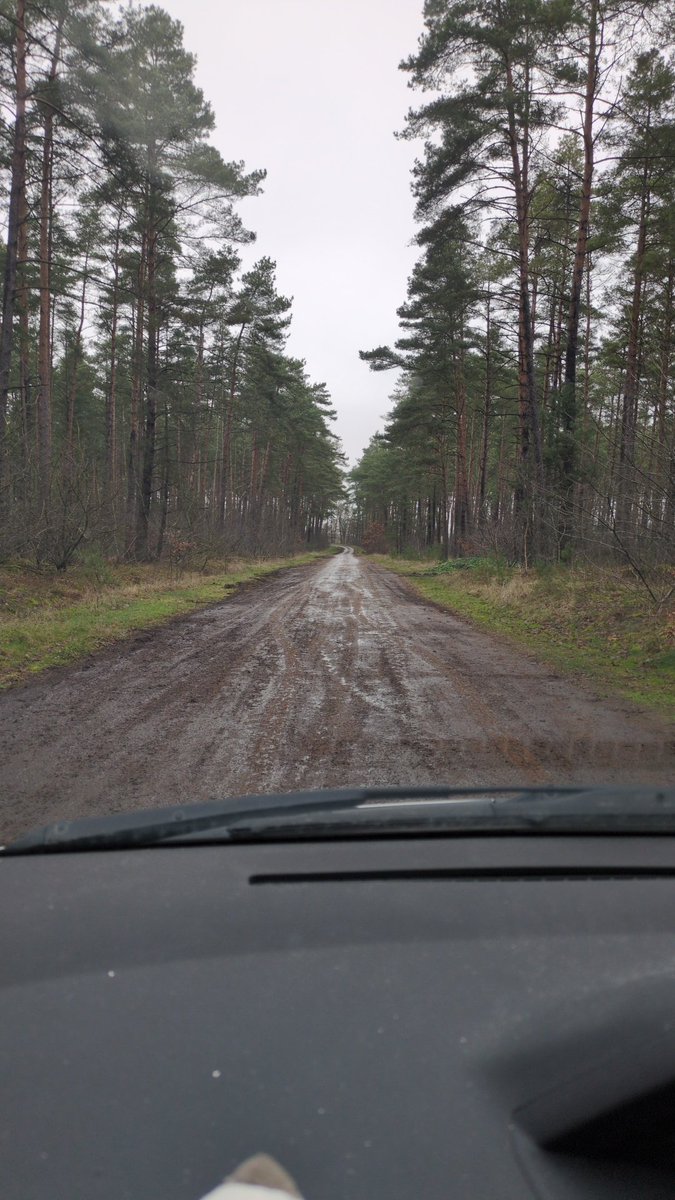 DieGawmann's tweet photo. @readfulthings_ Dubioser Waldweg. https://t.co/o0HyuTmjmp