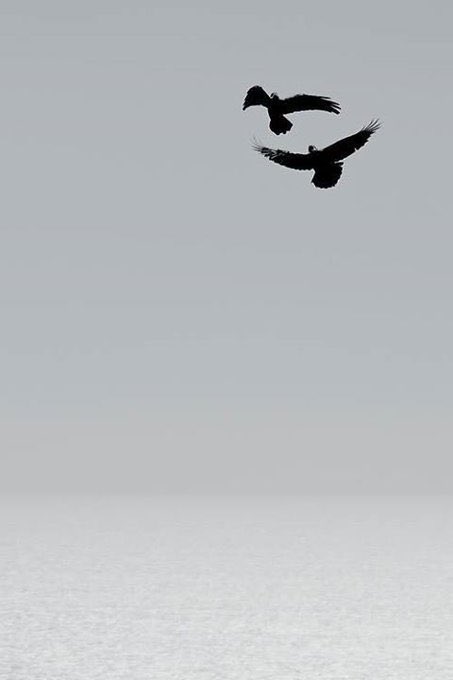 Karglllserdar's tweet photo. "Allah rızkımıza kefildir, Biz gönlümüze sahip olalım.."

Günaydın Cumamız mübarek olsun.. https://t.co/suaceaXduL