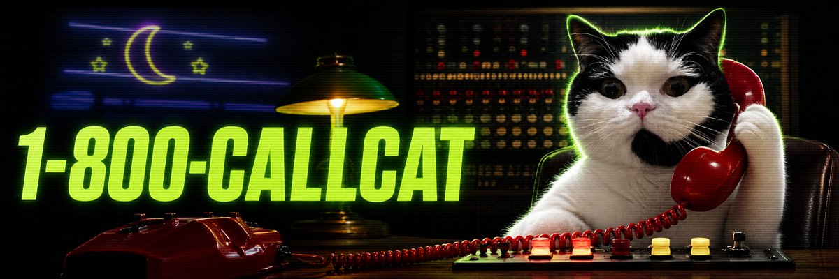 summon10m's tweet photo. when you are feeling alone, just call the cat https://t.co/bupcOjgUlm