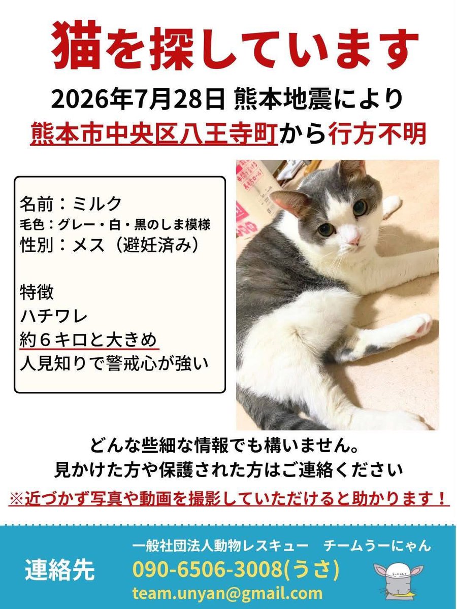 ____Usa's tweet photo. 現在、熊本市内〜宇土市、宇城市、八代市まで、地震により行方不明になった犬や猫の捜索の依頼が入っており、探しています。
目撃情報などありましたら、ご連絡いただけたらうれしいです。

#熊本地震
#ペット捜索
#迷子猫 https://t.co/vxEXolbzuV