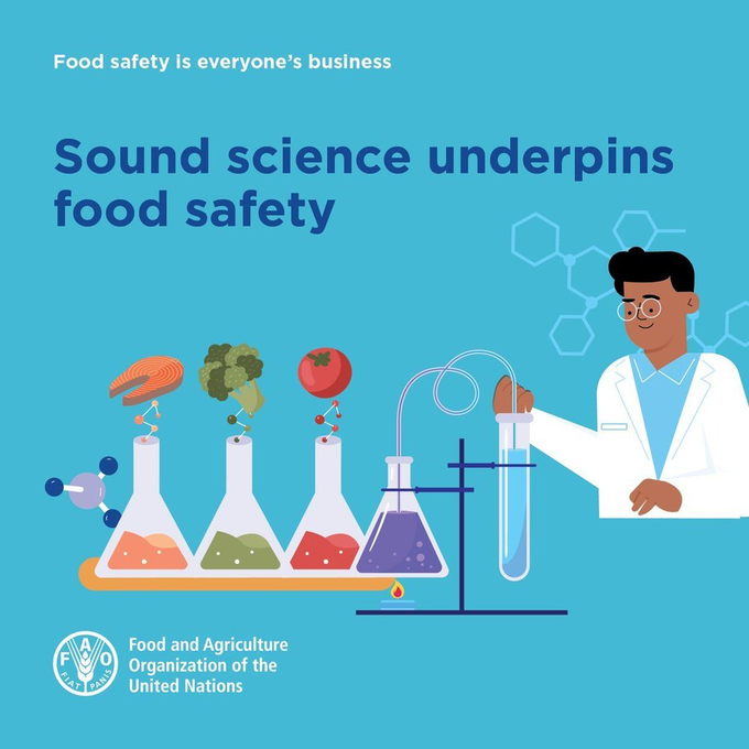 FAOWHOCodex's tweet photo. 📝 | #FoodSafety policies, standards and practices are guided by the work of:

🔸microbiologists
🔸toxicologists
🔸chemists
🔸epidemiologists
🔸biologists
🔸geneticists
🔸people working in many other scientific disciplines

👉 Food safety is everyone's business❗️ https://t.co/5dwcSs6vFk