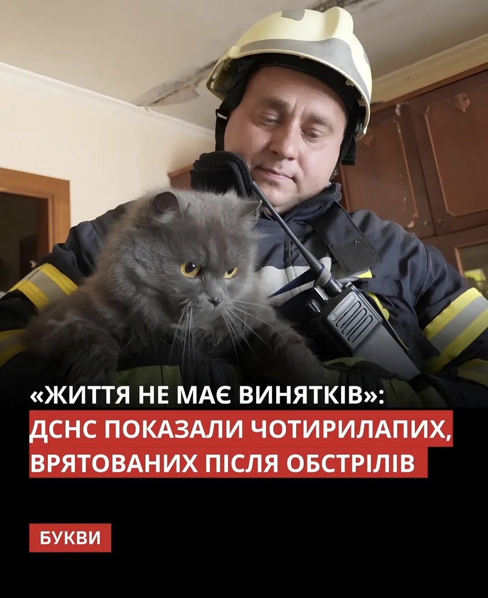 DarinUaGirl's tweet photo. Твіттерські: сперечаються, чиє життя важливіше 

Тим часом ДСНС: життя не має винятків 💔 https://t.co/aggvgLMK4W