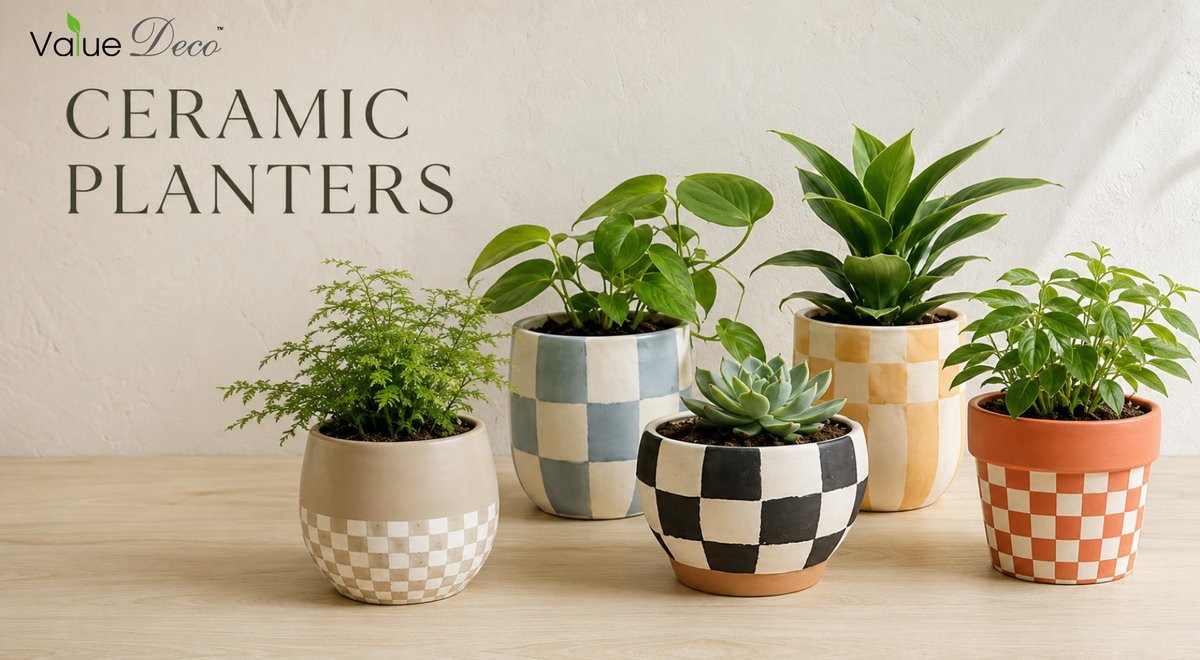 Valuedeco's tweet photo. "Progress doesn’t need to be loud; consistency speaks for itself.”

#Ceramic Pots#Flower Pots

Welcome to visit our website https://t.co/xgtkUF4KSr for our photo gallary

or visit us at sales@valuedeco.com for latest catalog https://t.co/TDKgjjtoPa