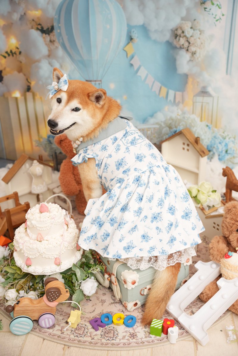 shibainu_roco's tweet photo. Happybirthday㊗️ROCO
ロコちゃま、本日7月31日で11歳になりました✨️前から変わらずのんびりだけど、穏やかに過ごしています🍀*゜
これからも少しでも長く一緒にいられますように🐕♥️ロコちゃん、生まれてきてくれてありがとう💖大好きよ🫶

#Roco11thBirthday https://t.co/0xG8xWy3Qy
