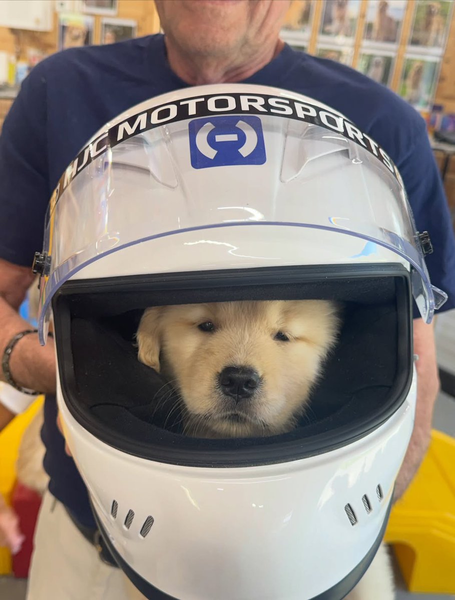 SirLewisLane's tweet photo. July 19, 2026 posted

Lewis’ new dog 🐶

ハミルトンの新しい相棒

[📸：goldiva_goldens IG] https://t.co/ybxi1u4fR7