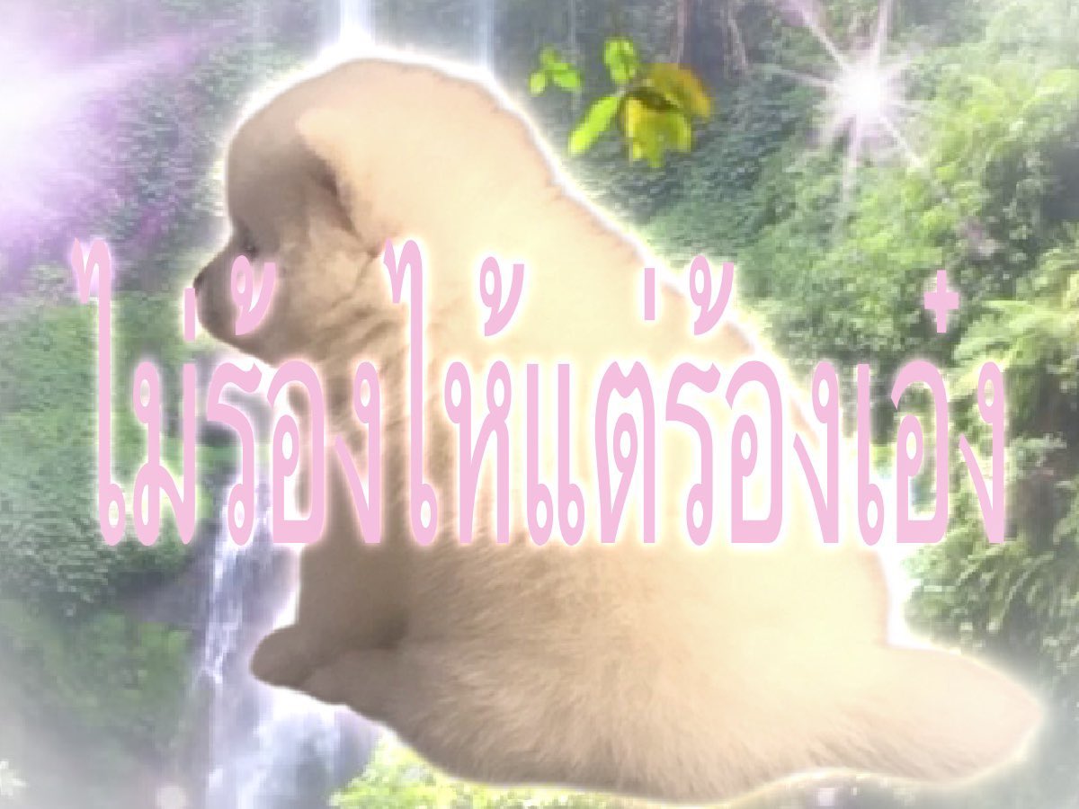 poo9932's tweet photo. https://t.co/6FRn7mxDeR