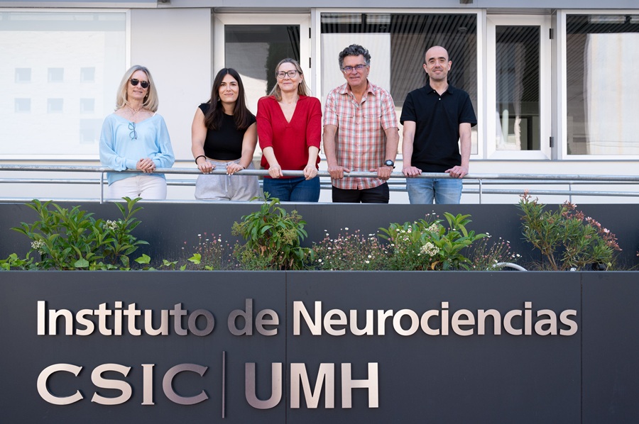 SENC_'s tweet photo. 📰Un estudio del @painchannels (@NeuroAlc) identifica un mecanismo clave del dolor crónico causado por lesiones nerviosas

Demuestra que #Piezo2 desempeña un rol esencial en la hipersensibilidad mecánica en un modelo de neuropatía periférica en ratones 

https://t.co/NmCDY5vq16 https://t.co/OSuj3fftFQ