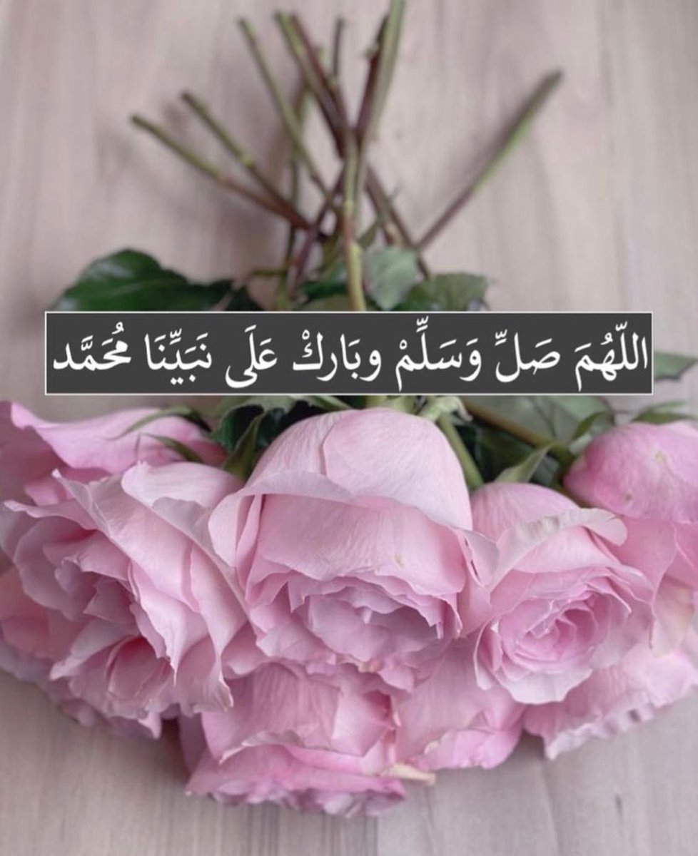 AltariqJannah's tweet photo. @AzizbagBag https://t.co/7avrP9F42u
