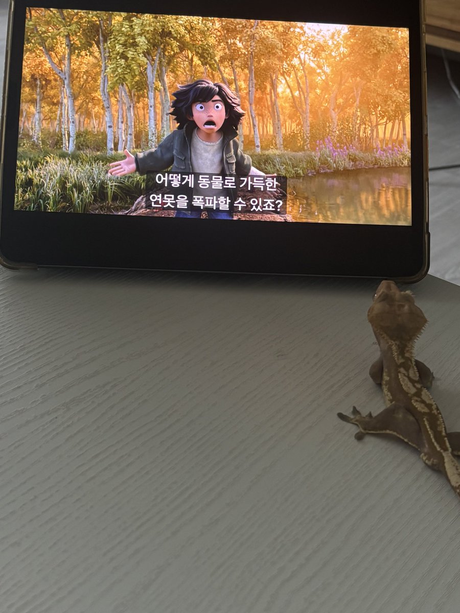gossipgeckos's tweet photo. 같이 영화보기로 했잖아아아아아아아아아아아아아아아아 https://t.co/mqI2Y88iDv