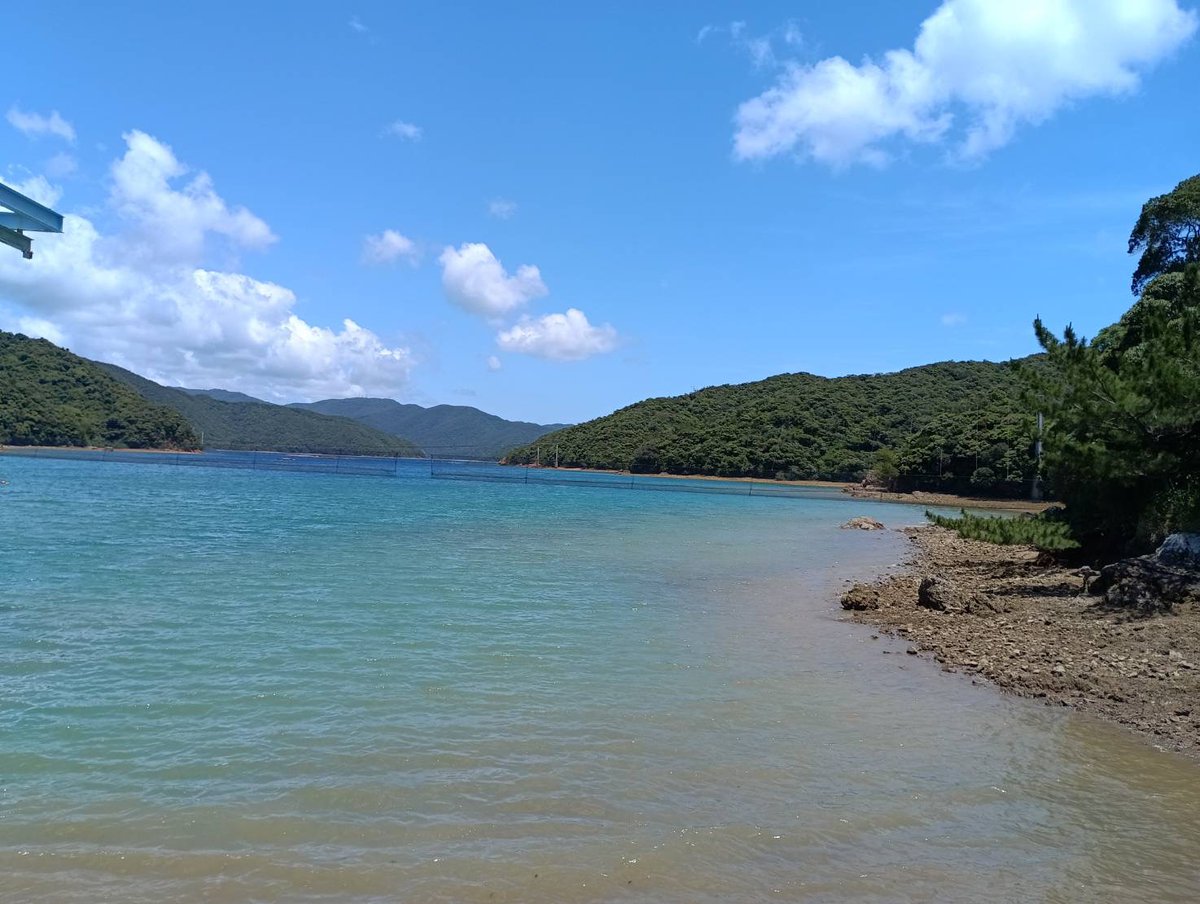 nenv_UTokyo's tweet photo. 今回は、海コースの研究室の様子を紹介します!🐠マグロの調査をしている研究室が鹿児島県の加計呂麻島へ調査に行ってきたようです。📷これからも私たちが美味しいマグロを食べ続けられるように、研究を頑張ります。 と、修士課程の学生さんがお話ししてくれました。(M.U.)
#utokyo #gsfs #nenv https://t.co/1F3VV2Dcy6