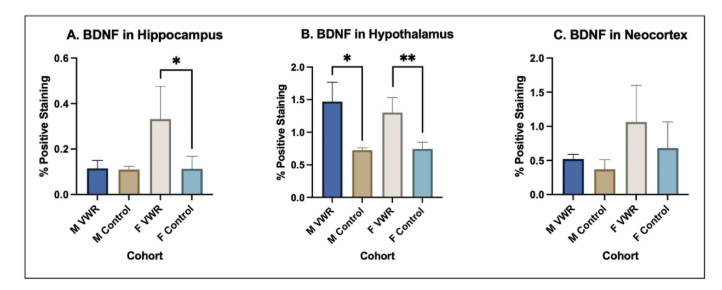 APTjournalOA's tweet photo. 🗣️Call for reading and sharing   
Voluntary wheel running enhances neuronal BDNF in very old C57BL/6 mice
URL:   https://t.co/f7DVmrk6z9 https://t.co/jcqB9FUmG2