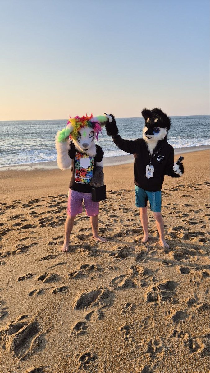 eri_gund's tweet photo. #love #furry #furrycouple #fursuits #beach https://t.co/9jV4TWZjqF