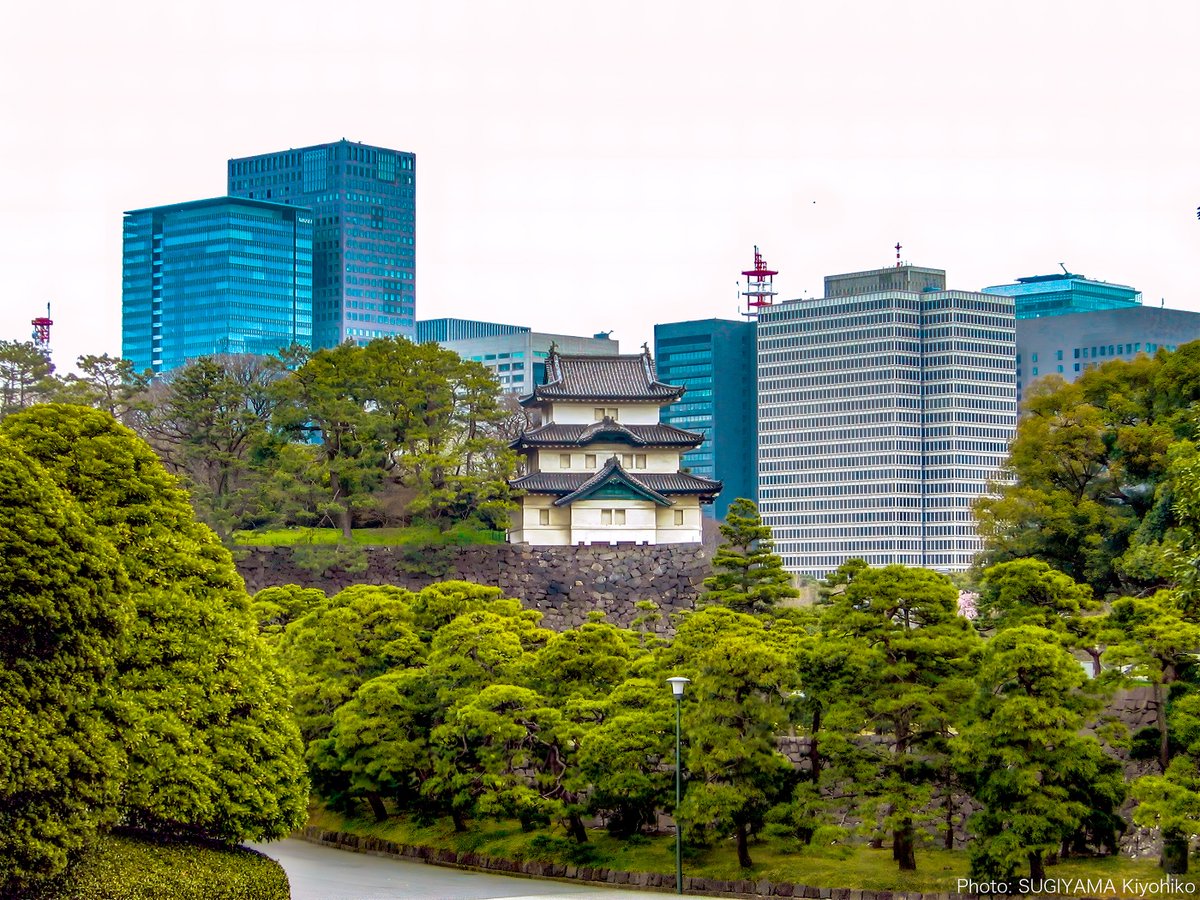 UTokyo_News's tweet photo. 旧暦8月1日は八朔という節日。436年前、1590年の八朔の日は関東に入封した徳川家康が江戸城に入った日とされ、江戸時代に武家の祝日として重んじられました。東大の近くにある櫻木神社は江戸城を築いた太田道灌が城内に勧請した祠に由来し、5代将軍綱吉の代に本郷にやって来ました。 #今日は何の日 https://t.co/8NoTE6SCJq