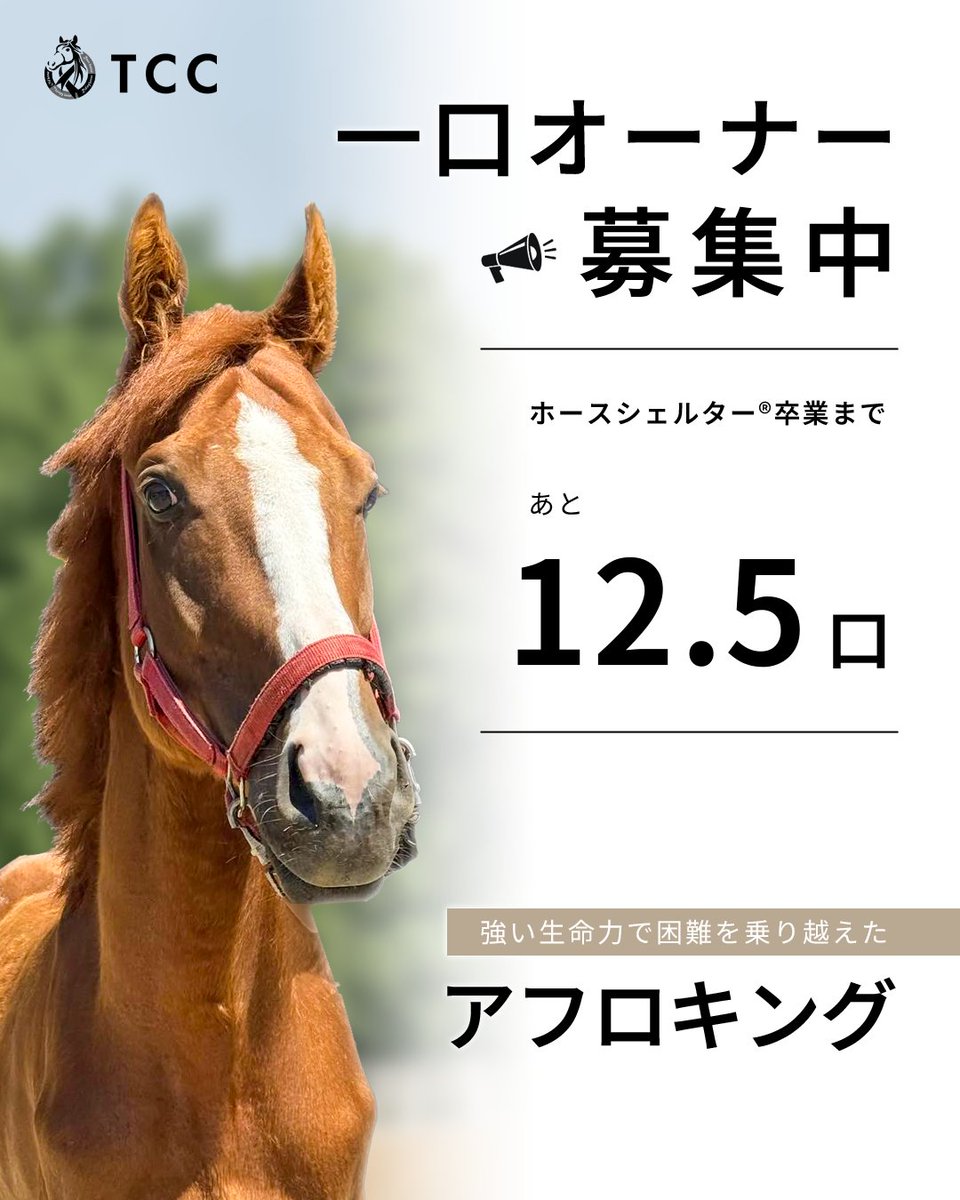 TCC_Japan_ tweet picture