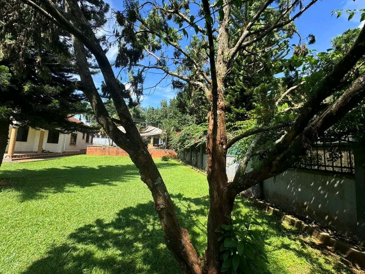 GaguLtd's tweet photo. House for sale in #Lubowa-Entebbe Road 

Plot size :#40decimals 

Asking Price: $370,000USD 

#4bedrooms + Maids quarters 

Contact:+256776061555

Follow Gagu Engineering U ltd for more updates on real estates and construction https://t.co/nsXxO1ooKi