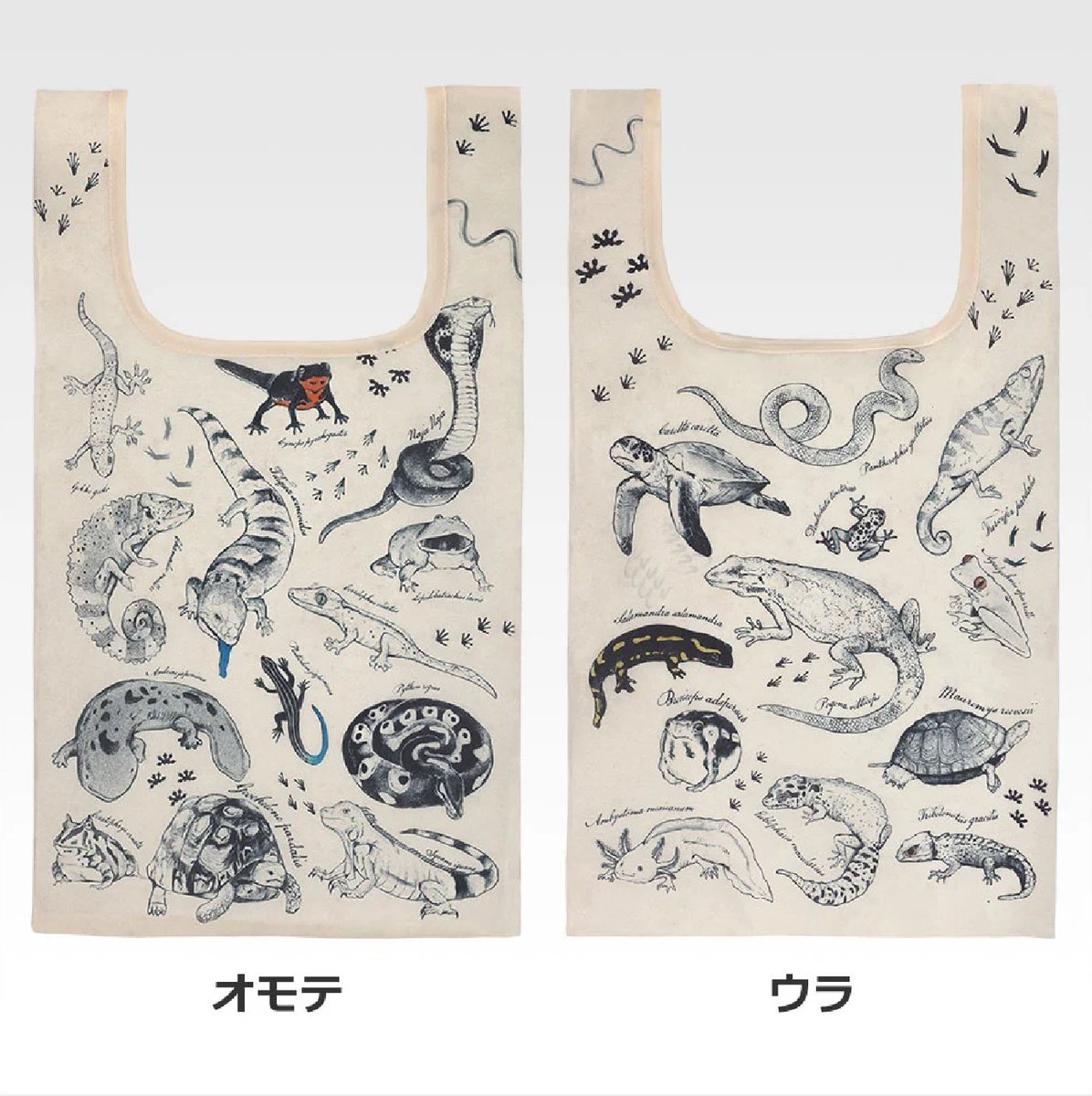 ohg_m3's tweet photo. 一番くじ「爬虫類＆両生類～Tiny Friends～vol.3」
Ｆ賞のエコバッグに、古い図鑑をイメージしたイラストを描き下ろしました✍︎ https://t.co/nCxHZuK1Ag