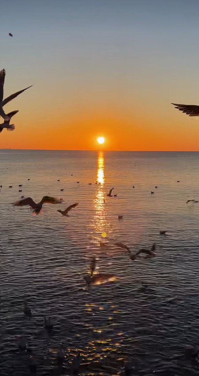CharleneSa7252's tweet photo. Just discovered a hidden coastal cove at sunrise—soft waves, golden hues, and zero crowds. Pure magic worth every early wake-up.  #TravelMoments https://t.co/LcY8sTiq7q