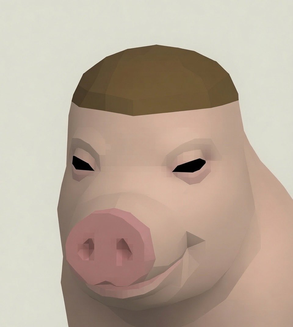 425Druid's tweet photo. old school runescape wigger pig https://t.co/DH5RnmALRX
